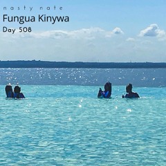 n a s t y  n a t e - Fungua Kinywa. Day 508 - SOULFUL HOUSE