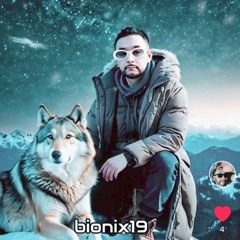 Snowed In By bionix ( winter sports )