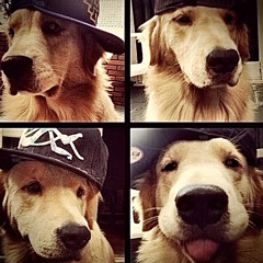 ETO NO ES POR PROFIT (Ft. coukayne)