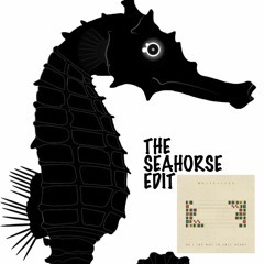 White Lies - As I Try Not To Fall Apart [The Seahorse Edit]