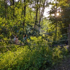 Vanice @Waldhafen, Tree of Life Gathering 2024