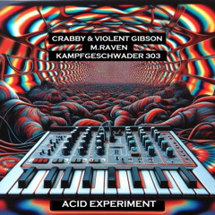 Kampfgeschwader 303 - Acid Experiment on HardSoundRadio-HSR