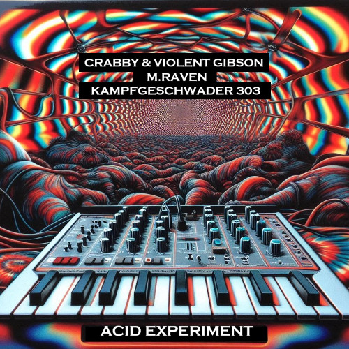 Crabby & Violent Gibson - Acid Experiment on HardSoundRadio-HSR
