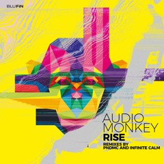 Audio Monkey - Rise (Infinite Calm Rework)