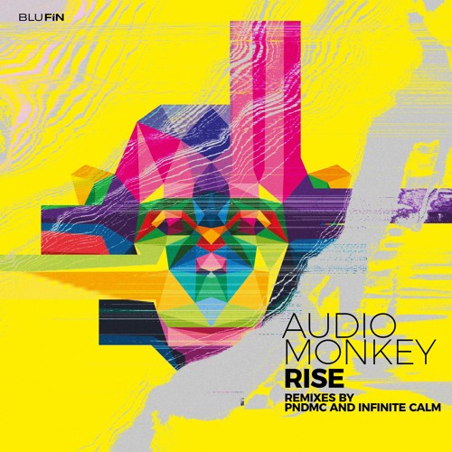 Audio Monkey -Rise (PNDMC Remix)