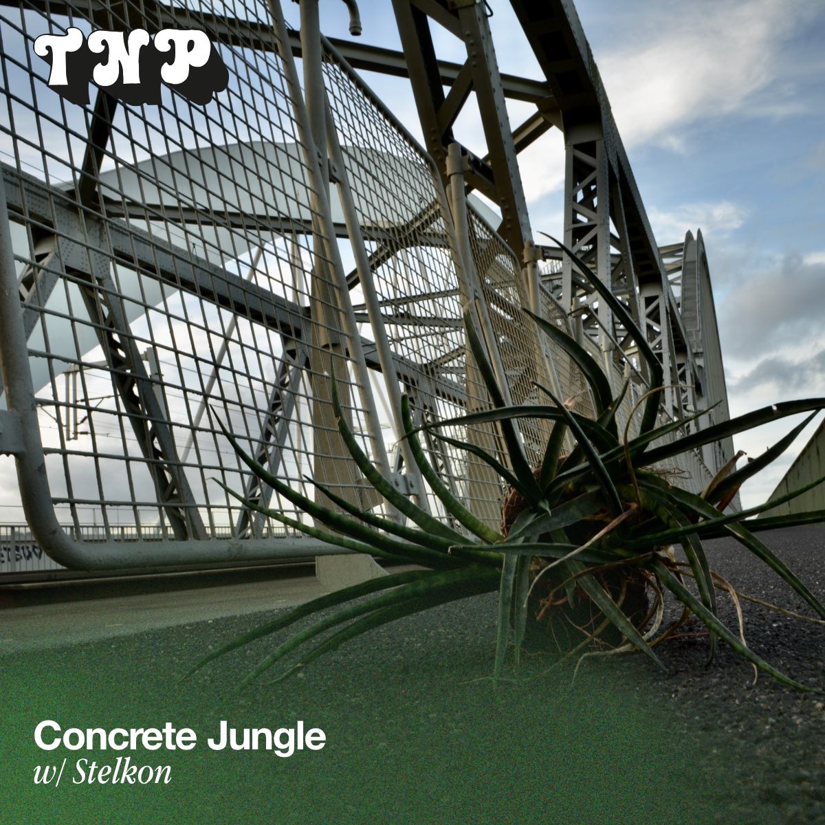 Concrete Jungle w/ Stelkon