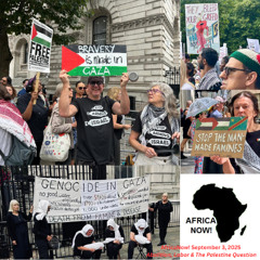 AfricaNow! Sep. 3, 2025 Abolition, Labor & The Palestine Question
