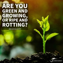 Brian Elliott - Are You Green And Growing Or Ripe And Rotting (Part 1)