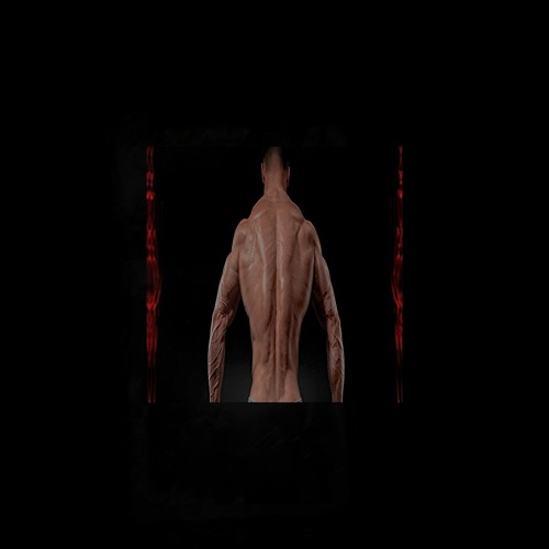 FREE DOWNLOAD: PAYN X ANUS - METALLDETECTOR