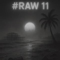 Raw #11