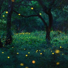 Melanie Fontana - Fireflies (QW Edit)