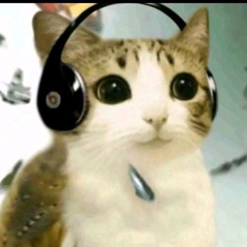 Nod-Krai theme song | best part