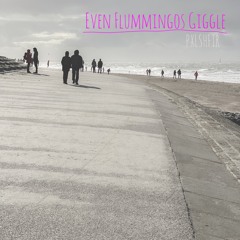 Even Flummingos Giggle