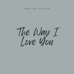 The Way I Love You