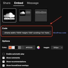 shininglikeabitch/freestyle prod.1kamui
