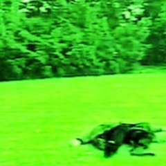 вебинар по зелени (vremyaisteklos remix)
