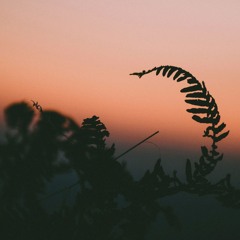 Embodied To The Sky