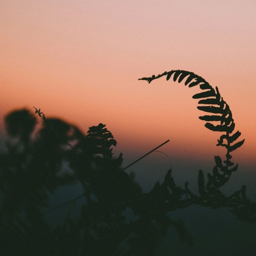 Embodied To The Sky