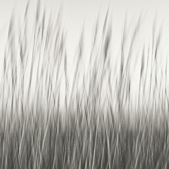 Mosaic Material Wind