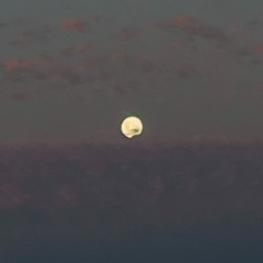 I'LL MEET U WHEN OUR CARS COLLIDE