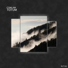 Polyptych Music - Cowlam - Motion (original mix)