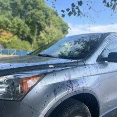 Pussy Yodel feat. Tom Jones and Riccola Guy