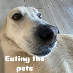 eating the pets