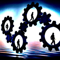 Fabio Zammarchi - HARMONY