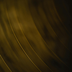 01 REC-2025-11-02 nest-4