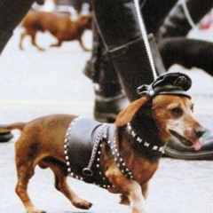 LALI X TYGAPAW - DISCIPLINA (SUB! DOM!)