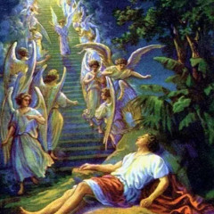 I BALL prod. whitewine