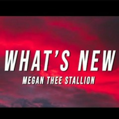 Megan Thee Stallion- What’s New (TikTok Remix)