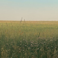 13_Moods_And_Feels_4_Bipolarity_Of_Angst_And_Love_(20%)