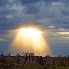 Your Light (live acoustic)