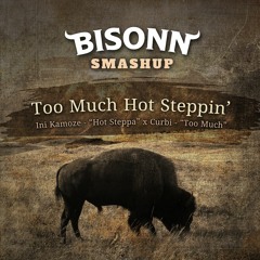 Too Much Hot Steppin' (BISONN SMASHUP)