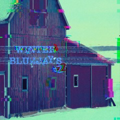 Winter Bluejays Vol. 2