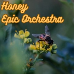 Honey - Derivakat Epic Orchestra