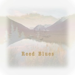 Reed Blues