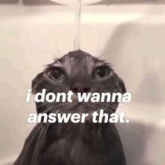 Dont Wanna Answer