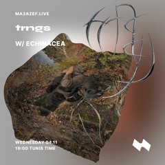 trngs on Ma3azef ft. Echinacea