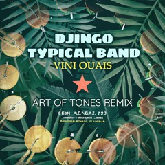Djingo Typical Band - Vini Ouais (Art Of Tones Remix) PROMO ONLY