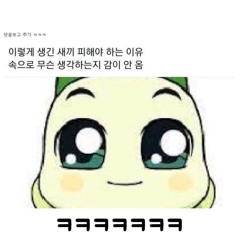 물불