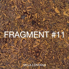FRAGMENT #11