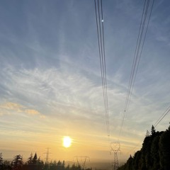 MORNING LOVE