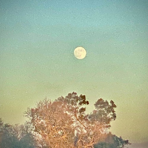 Sidelines (Feat. Kay Destiny) (prod. CRMDRM)