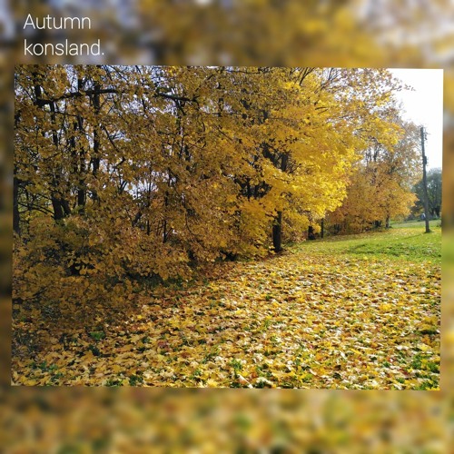 Autumn