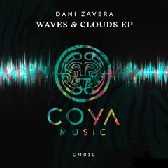 Dani Zavera - Waves (Raw Main Remix)