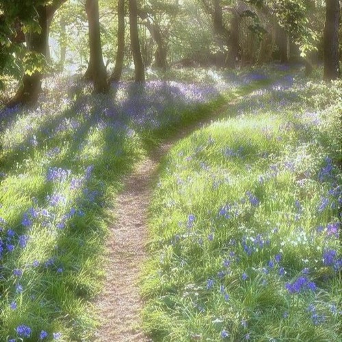 all that i needed (rxi + abraham edo)