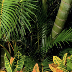 Kay Yung - You're The One remix 😎