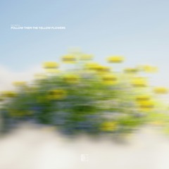 eeyrith. - follow them the yellow flowers